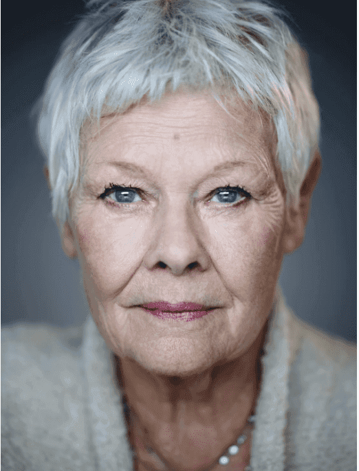 Judi Dench's headshot, looking directly into the camera. A white woman with white hair and blue eyes. 